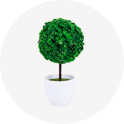 planta artificial